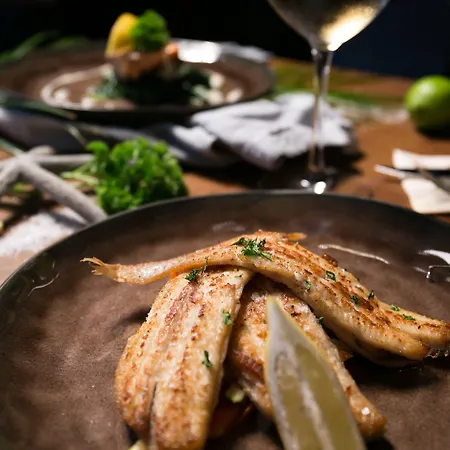 Manzo's Hotel Zaandam