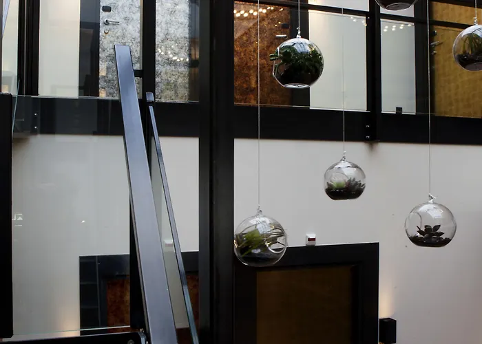 Manzo's 4* ザーンダム