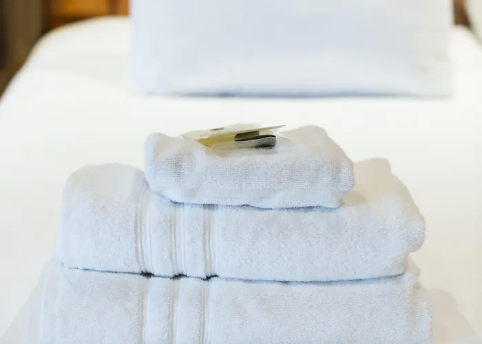 ホテル Manzo's ザーンダム